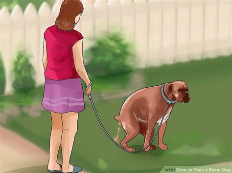 For example, teach him to sit instead of jumping up to get attention. 3 Ways to Train a Boxer Dog - wikiHow