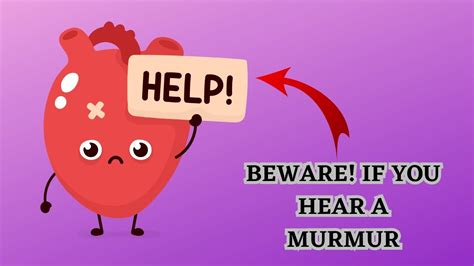 understanding heart murmurs an overview including important criteria when describing murmur