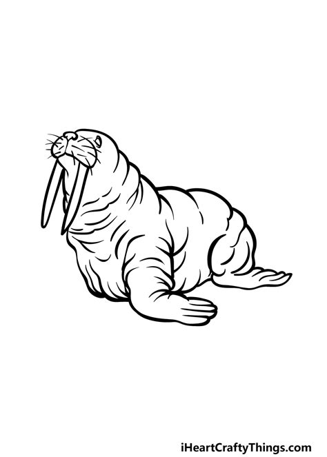 Walrus Pencil Drawing
