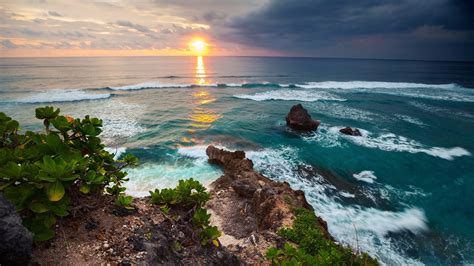 Download Horizon Sunset Tree Ocean Indonesia Coast Nature Coastline Hd