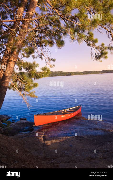 Lake Opeongo Algonquin Park Ontario Stock Photo Alamy