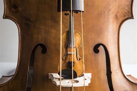 Is The Octobass The Worlds Rarest Classical Music Instrument Red