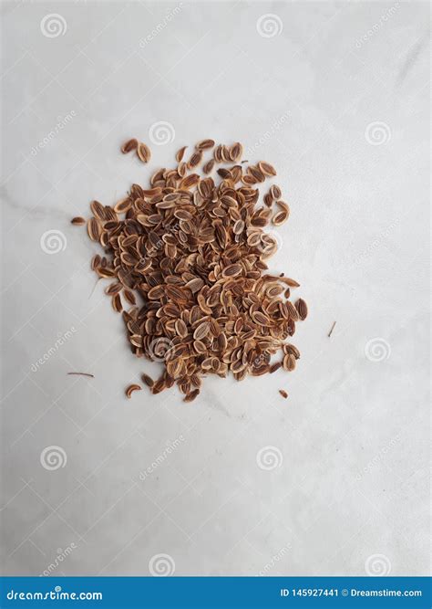 Various Seeds Picturesquely Laid Out On The Table In A Different Order