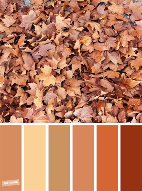 59 Pretty Autumn Color Schemes Golden Brown Autumn Leaves Fall