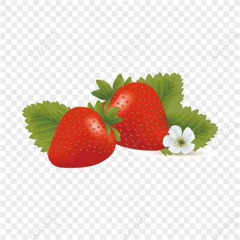 Strawberry Strawberry Vector Red Strawberry Flower Vector PNG Image