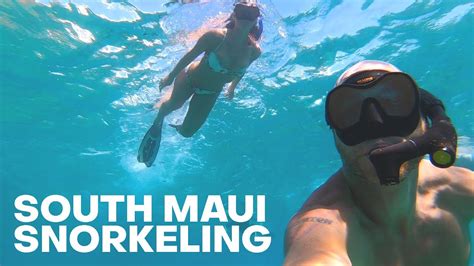 Snorkeling From Shore On Maui Ahihi Kinau Reserve The Detourist