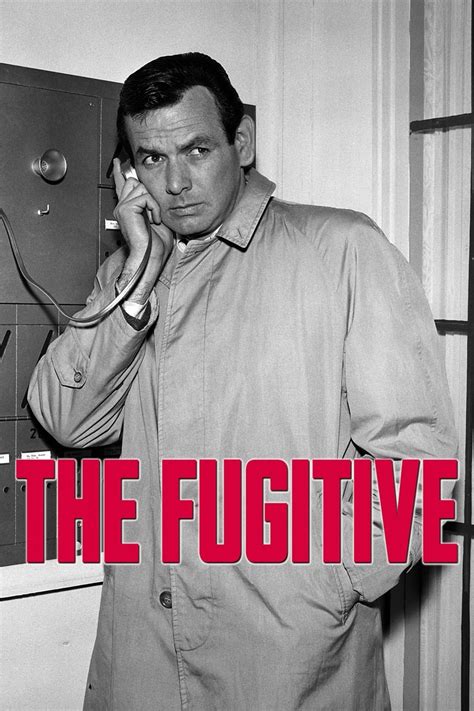 The Fugitive 1963 Series Myseries