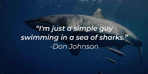 45 Quotes About Sharks Majestic Creatures Of The Deep