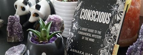 We take our experience of being in the world for granted. Review: Conscious by Annaka Harris | The Burgundy Zine