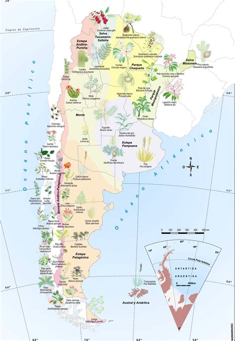 Flora Y Fauna De Argentina Geografia De Argentina