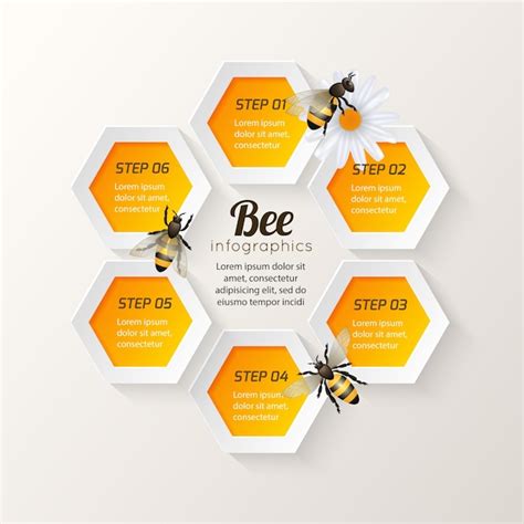 Premium Vector Bee Infographics Steps