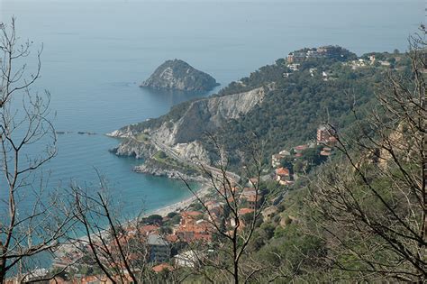 Si trova anche negli estuari e nelle lagune costiere. Hotel Oroverde