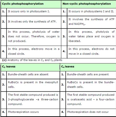 Photosynthesis In Higher Plants Ncert Solution Class 11 Biology