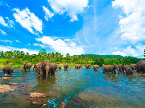 8 Most Beautiful Spots In Sri Lanka