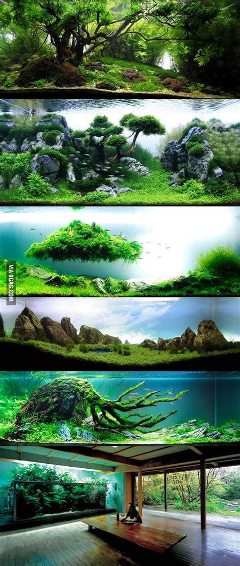 What looks like a lush rainforest is really an underwater garden. We lost the father of modern aquascaping. Here is some of ...