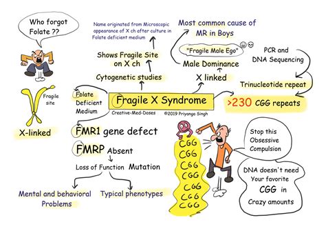 What Is Fragile X Syndrome Images And Photos Finder