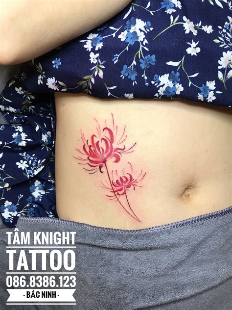Hình xăm hoa bỉ ngạn, hoa bỉ ngạn đẹp, hình xăm hoa, hình ...