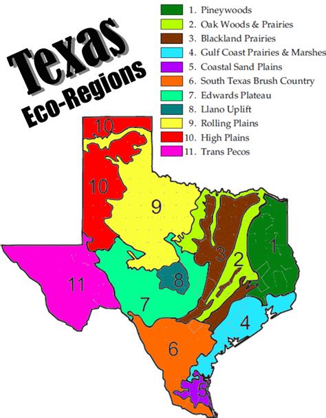 Texas Ecoregions Map The Law Offices Of Ryan Henry
