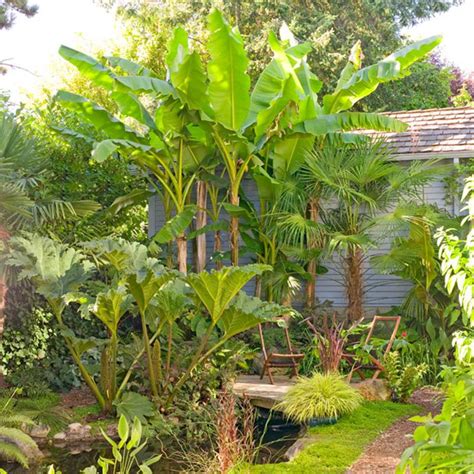 Best 25 Zone 9 Gardening Ideas On Pinterest Perennials Full Sun