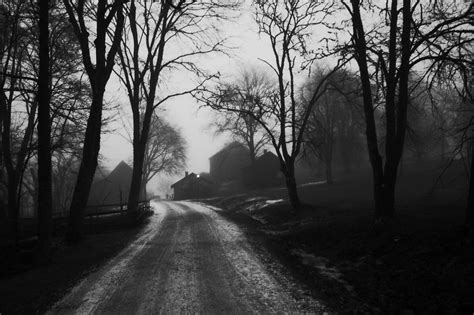 Gray Scale Photo Of Road Between Trees Hd Wallpaper Wallpaper Flare