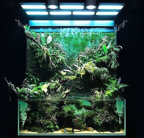 Amazing Paludarium Ideas That Must Be Crazy In Your Home