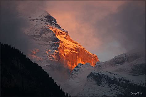 Swiss Alps On Fire The Jungfrau Seen At Sunset Explored Flickr