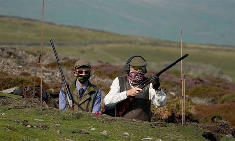 Grouse Shooting And Hunting Exempt From Johnsons Rule Of Six Covid
