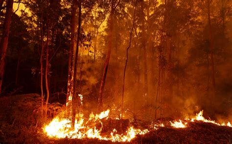 Fire is the rapid oxidation of a material in the exothermic chemical process of combustion, releasing heat, light, and various reaction products. New South Wales Wildfires Lead to Forced Evacuations ...