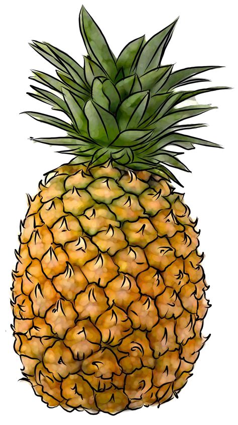 Food - Pineapple - 00M - Non-country specific | IYCF Image Bank