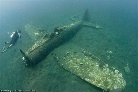 Lost Ww2 Fighter Planes Are Discovered Off Of The Solomon Islands