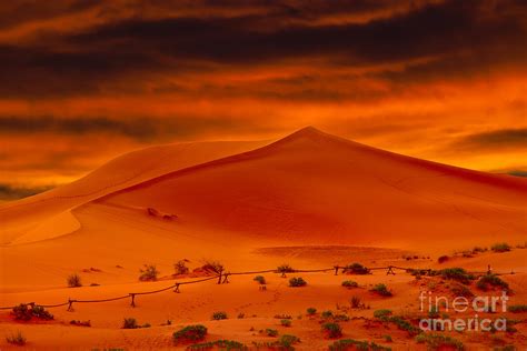 Glowing Orange Desert Sand Dunes At Sunset Photograph By Susan Mckenzie