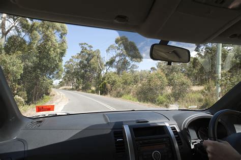 Free Image Of Passenger View Of Driving On Tree Lined Road Freebie