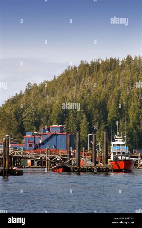 Tofino Vancouver Island British Columbia Canada Boats In Harbor