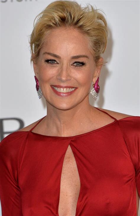 Sharon Stone Stroke Battle Made Her Forget Ageing In Hollywood