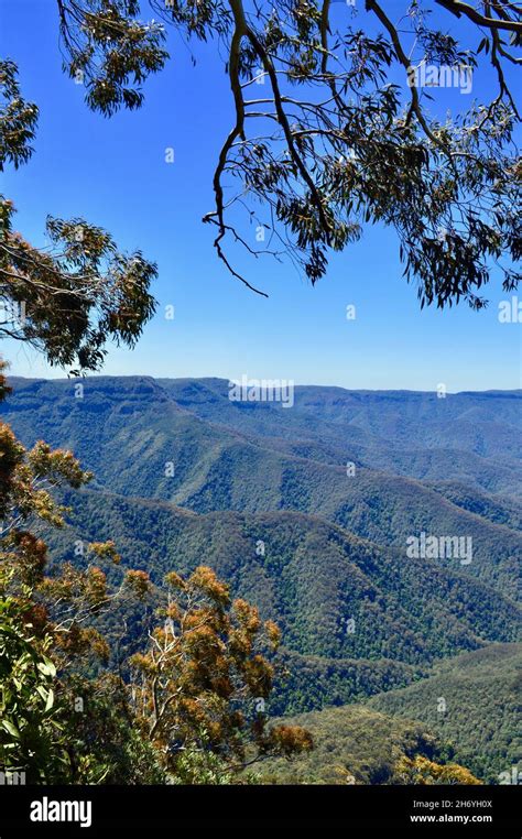 A View Of The New England Tablelands From Point Lookout Nsw Stock