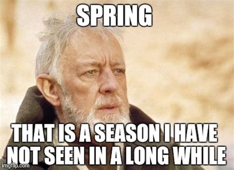 15 Funny Spring Memes To Get You Through These Chilly Spring Days