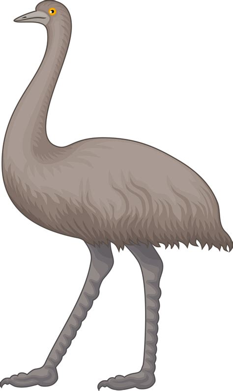 Emu Clipart Clipground