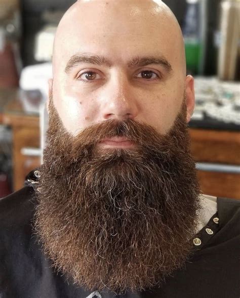 Pin By Chad Perkins On Beards Xl Length Long Beard Styles Long