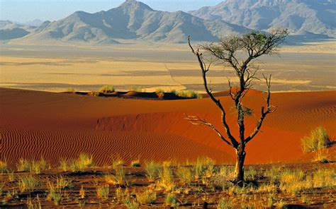 Namibia Wallpapers Top Free Namibia Backgrounds Wallpaperaccess