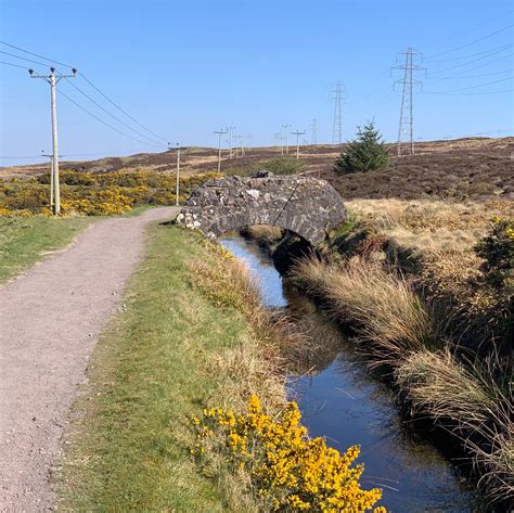 Cloudless Day Along The Greenock Cut