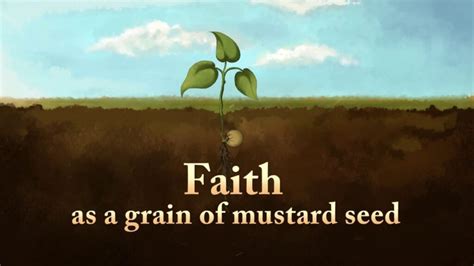 Mustard Seed Faith Church Our Congregation Is Made Up Of Believers Of