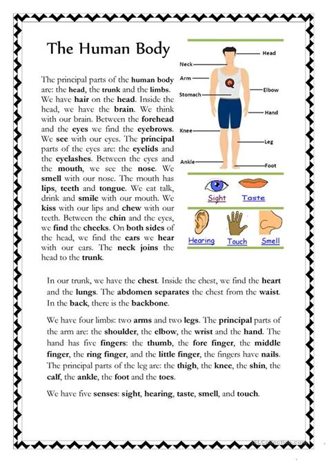 human body worksheet  esl printable worksheets