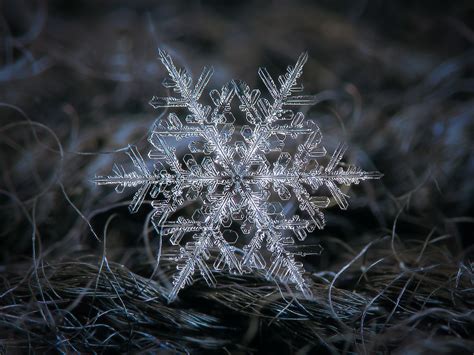 Real snowflake | Macro photo of real snowflake: beautiful st… | Flickr