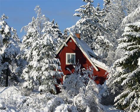 snow, Winter, House, Trees, Forest Wallpapers HD / Desktop and Mobile ...