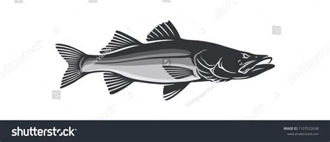 Common Snook Fish Stock Vector Royalty Free 1107522698 Shutterstock