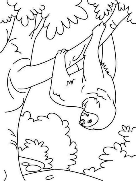 There are pages with sloths in colorable frames. Funny Animal Sloth Coloring Page : Color Luna