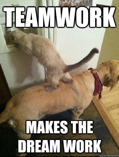 31 Best Teamwork Memes To Boost Team Morale Remotely Thinkremote