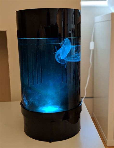 Jellyfish Art Cylinder Nano 2 Jellyfish Basic Starter Kit - http