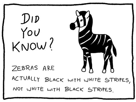 (or more than a few) bits of random trivia to share with your friends or just . The Last Word On Nothing | zebra factoid