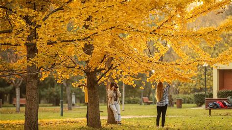 Colors Of Autumn In Bursas Botanical Park Anadolu Ajansı